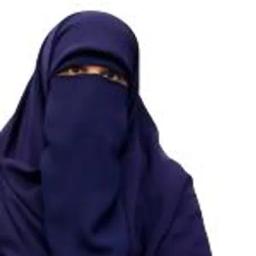 عزة انور