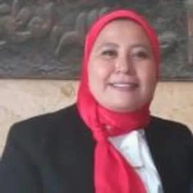شيرين سمير بركات