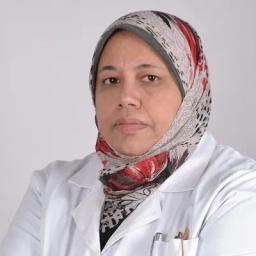 نرفين المغربى