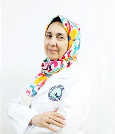 اميرة حمدي