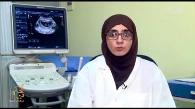 هدي السباعي