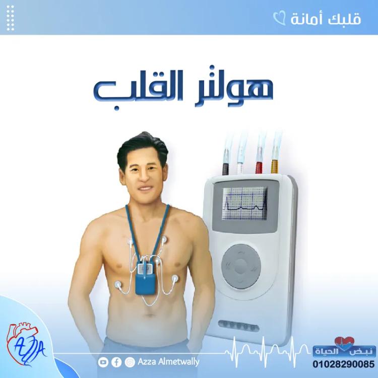 هولتر