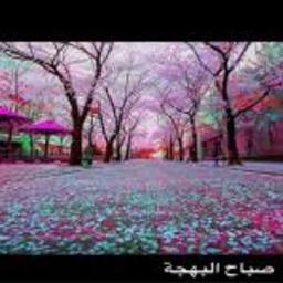 إيمان الكومي