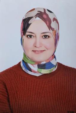 ريهام سمير