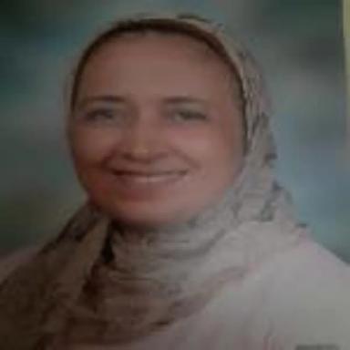 نسرين انور